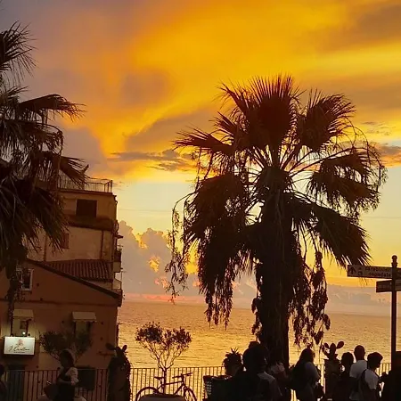 Armonia * 特罗佩阿